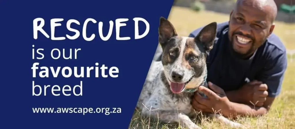 Animal Welfare Society Cover Image