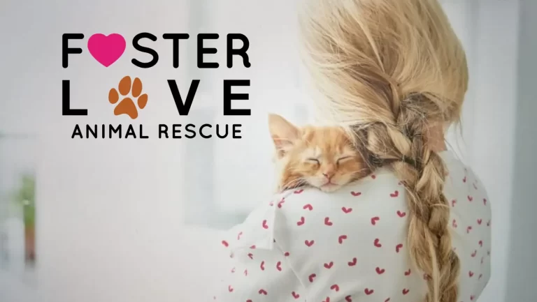 Blonde Haired Lady hugging a rescued orange cat