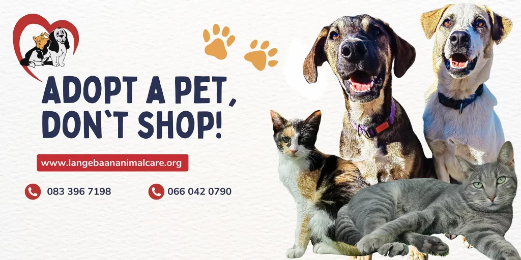Langebaan Animal Care cover image