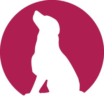 Safe Foster Network Logo