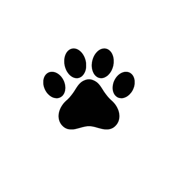 Search for your perfect pet