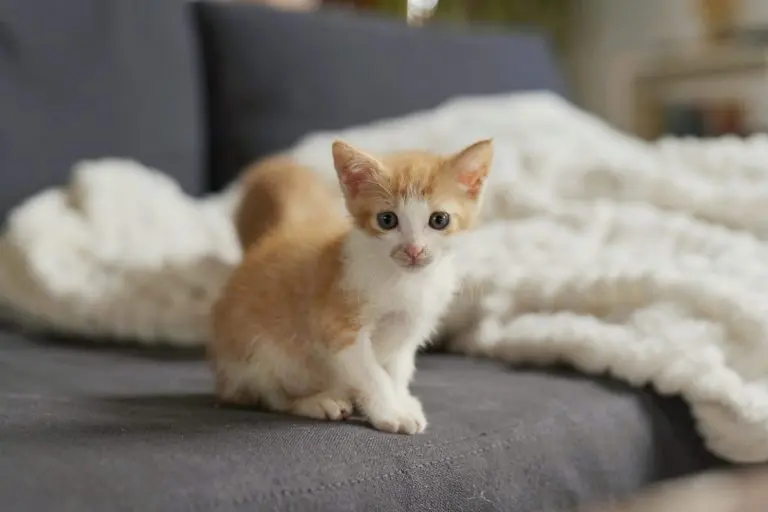 Henry looking cute