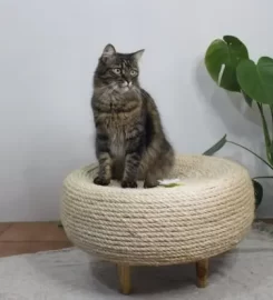 Flooflet Pet Durban