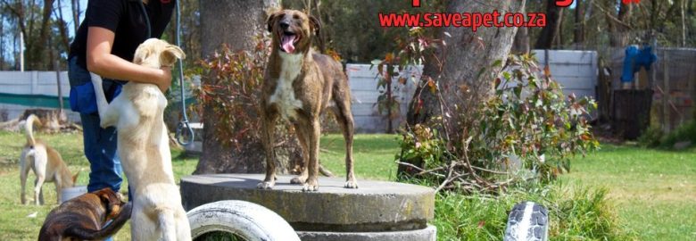 Save-a-Pet Rescue Centre
