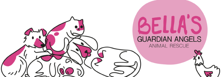 Bella’s Guardian Angels animal rescue