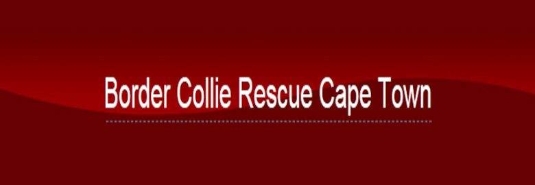 Border Collie Rescue, Cape Town