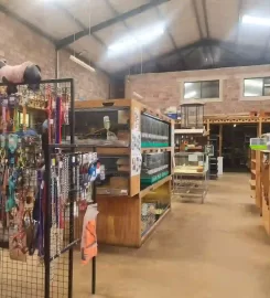 Creatures & Critters Pet Store