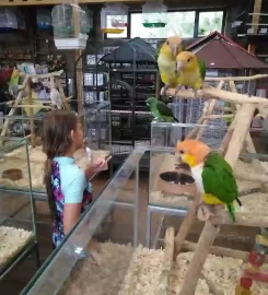 Creatures & Critters Pet Store