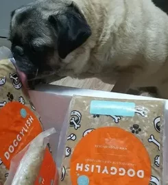 Doggylish