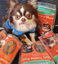 Doggylish