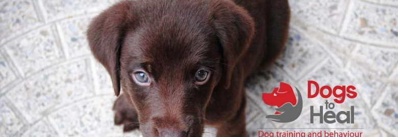 Dogs to Heal Dog training and Behaviour