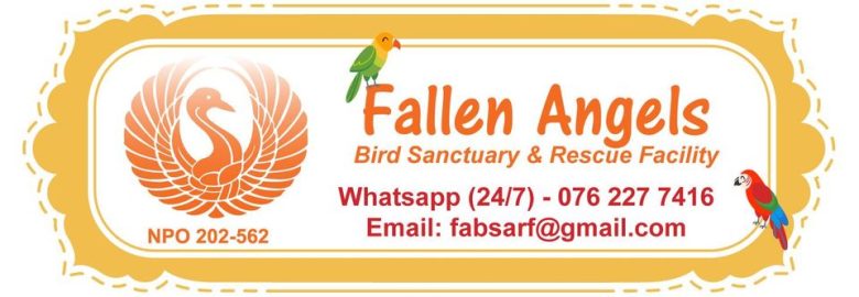Fallen Angels Bird Sanctuary & Rescue Facility NPO 202-562