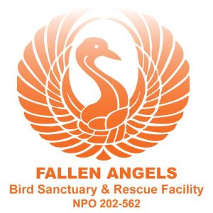 Listing Logo