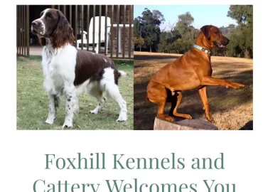 Foxhill Kennels And Cattery