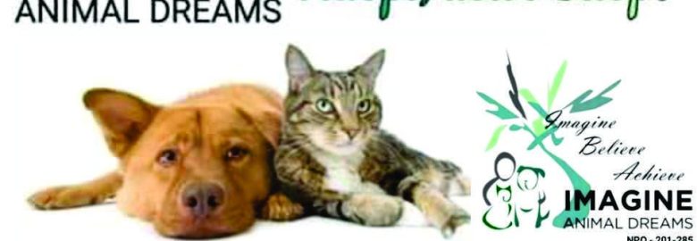 Imagine Animal Dreams NPO