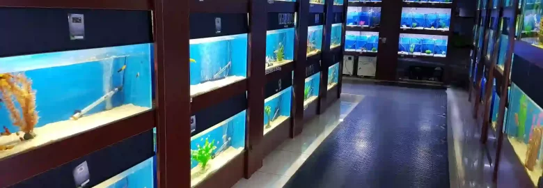 Jumanji Aquatics