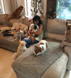 KOKO’S Doggy Lodge & Day Care