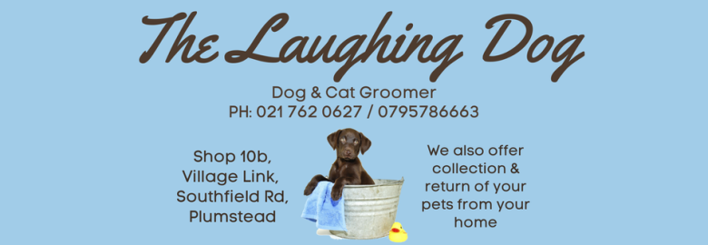 The Laughing Dog