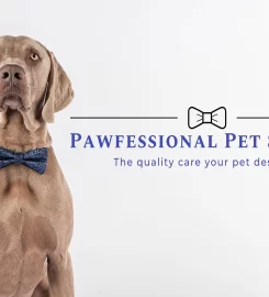Pawfessional Pet Sitters