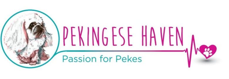 Pekingese Haven Rescue