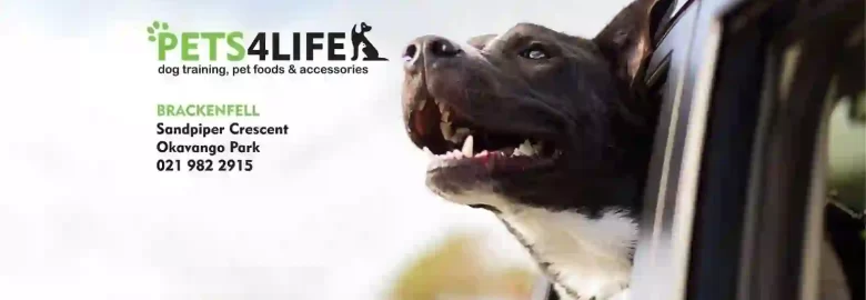 Pets4Life
