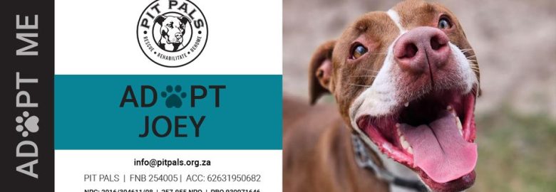 Pit Pals Pitbull Rescue