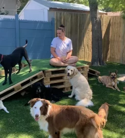 POOCH – Doggy Daycare, Boarding & Training