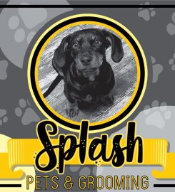 Splash pets & grooming