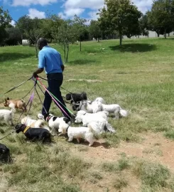 The Puppy Palace Doggy Daycare and Spa