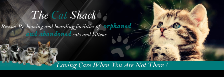 The Cat Shack Cat Rescue
