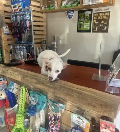 Paws Cafe Westville