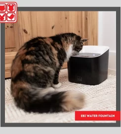 CATBOX ALLENS NEK