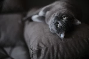 Listing Logo