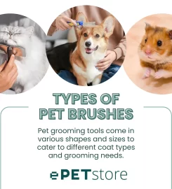 ePetStore.co.za