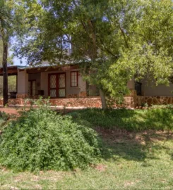 Thabametsi Farm