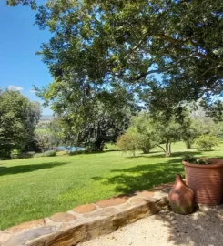 Thabametsi Farm