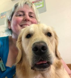 Wiggle Waggle Doggy Parlour