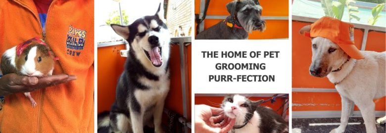 Paws Gone Wild Grooming