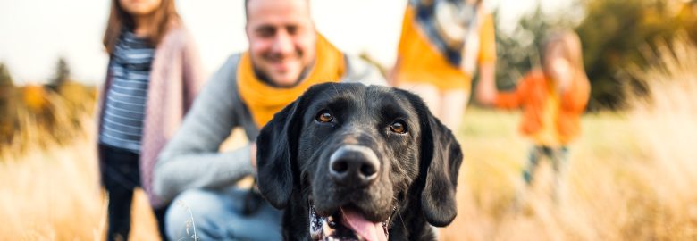 Waterkloof Animal Hospital