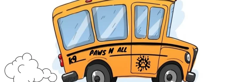 Paws N All