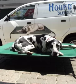 Hound Sleeper Dog Beds