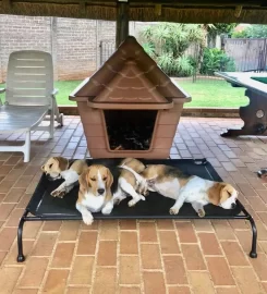 Hound Sleeper Dog Beds