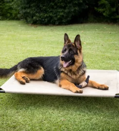 Hound Sleeper Dog Beds