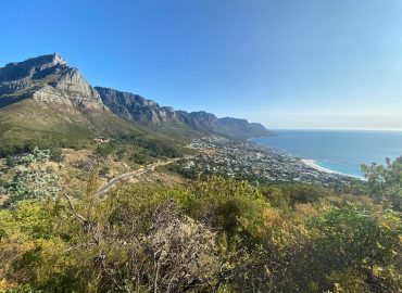 Lion’s Head