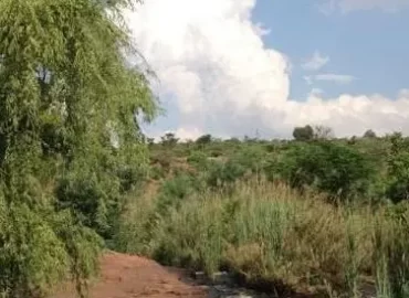 Riverside Paradise
