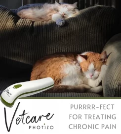 Photizo Light Therapy