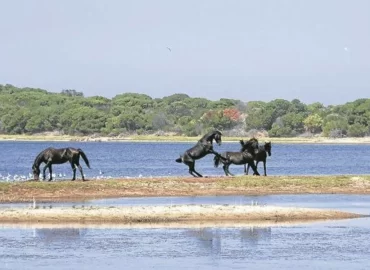 Betty’s Bay and Kleinmond Self Catering Accommodation