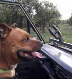 Magalies Wild Farm
