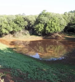 Magalies Wild Farm