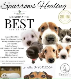 Natural emotional healing for pets